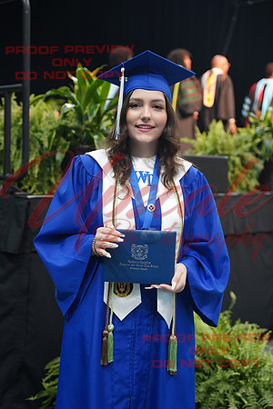 DSC03973